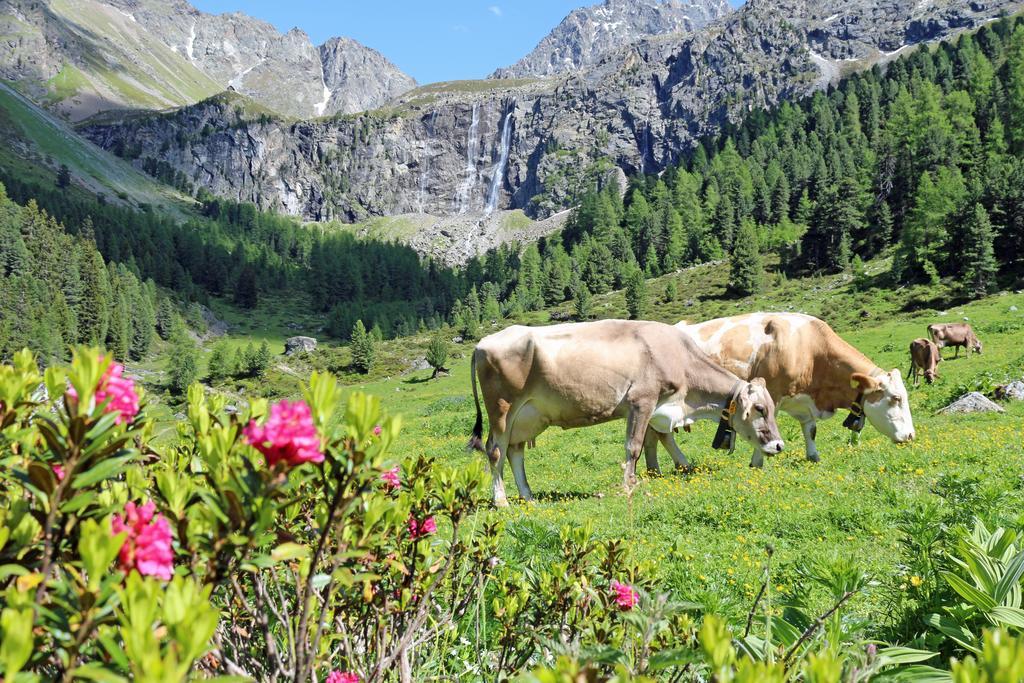 Chalet Tschallener Ried im Oberinntal Εξωτερικό φωτογραφία